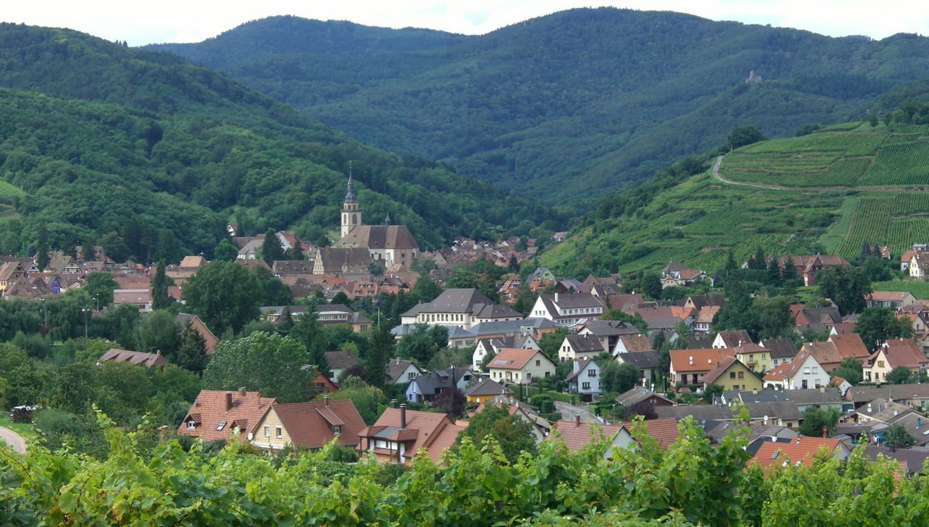 Vista de Andlau, sus viñedos y los Vosgos